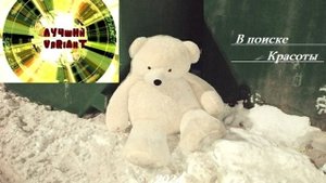 Альбом В Поиске Красоты 2024 группа ЛУЧшИй VaRiAnT