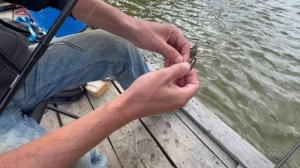 Александр,о своих снастях на Осетра