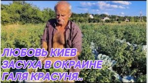 САМВЕЛ АДАМЯН, ЛЮБОВЬ КИЕВ, ЗАСУХА, КАКОЙ УРОЖАЙ У ВАСИ В ОГОРОДЕ..