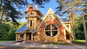 Деревня Мандроги. Ленинградская обл. 3.07.2025г.