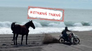 НОВОСТИ КАМЧАТКИ: НЕТИХИЙ ТИХИЙ