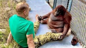 Большое интервью! Олег Зубков снова пришел к любимице Дане и ко львам!