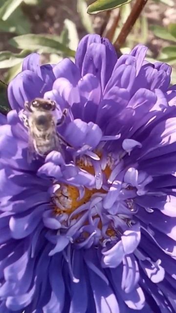 Это место хотят увидеть многие. показываю смотреть онлайн