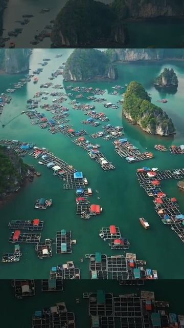 Деревня Кай Бео, Лан Ха, Вьетнам смотреть онлайн