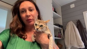 БОБКЭТ РУФУС В ОЖИДАНИИ ЕДЫ / Переселяю сингапуру / Как назовём котенка?