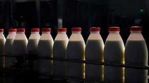 Крупные производители молока пожаловались на сокращение господдержки
