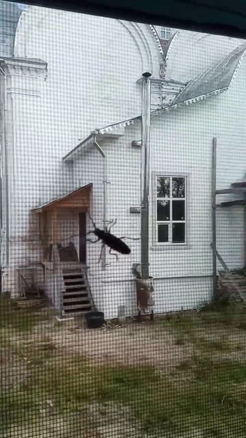 кто это, подскажите!? смотреть онлайн