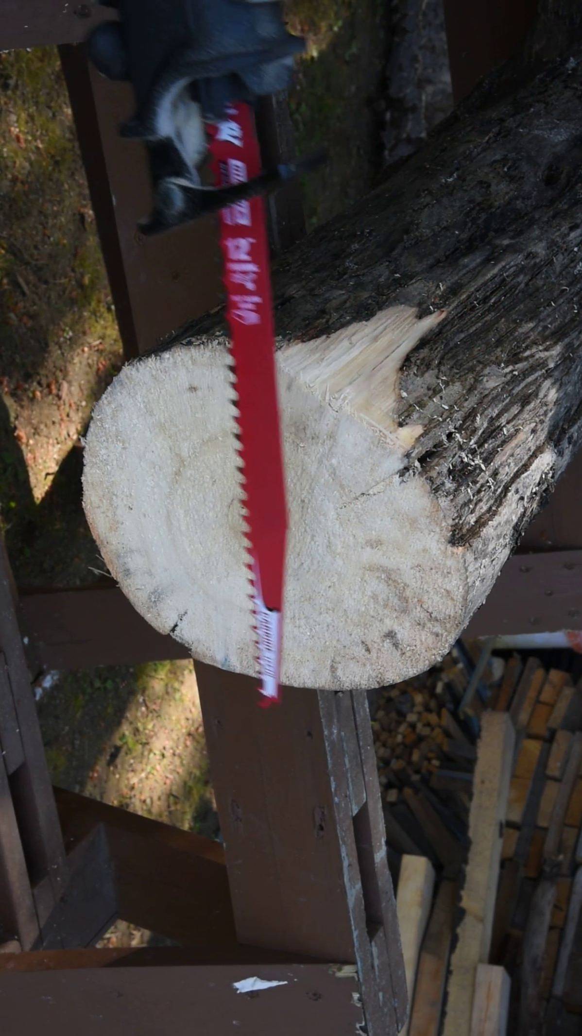 Пилим 22 сантиметра. Diablo DS1203CP3.