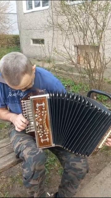 Гармонь Бр.Кондратьевы   фа  диез 2 смотреть онлайн