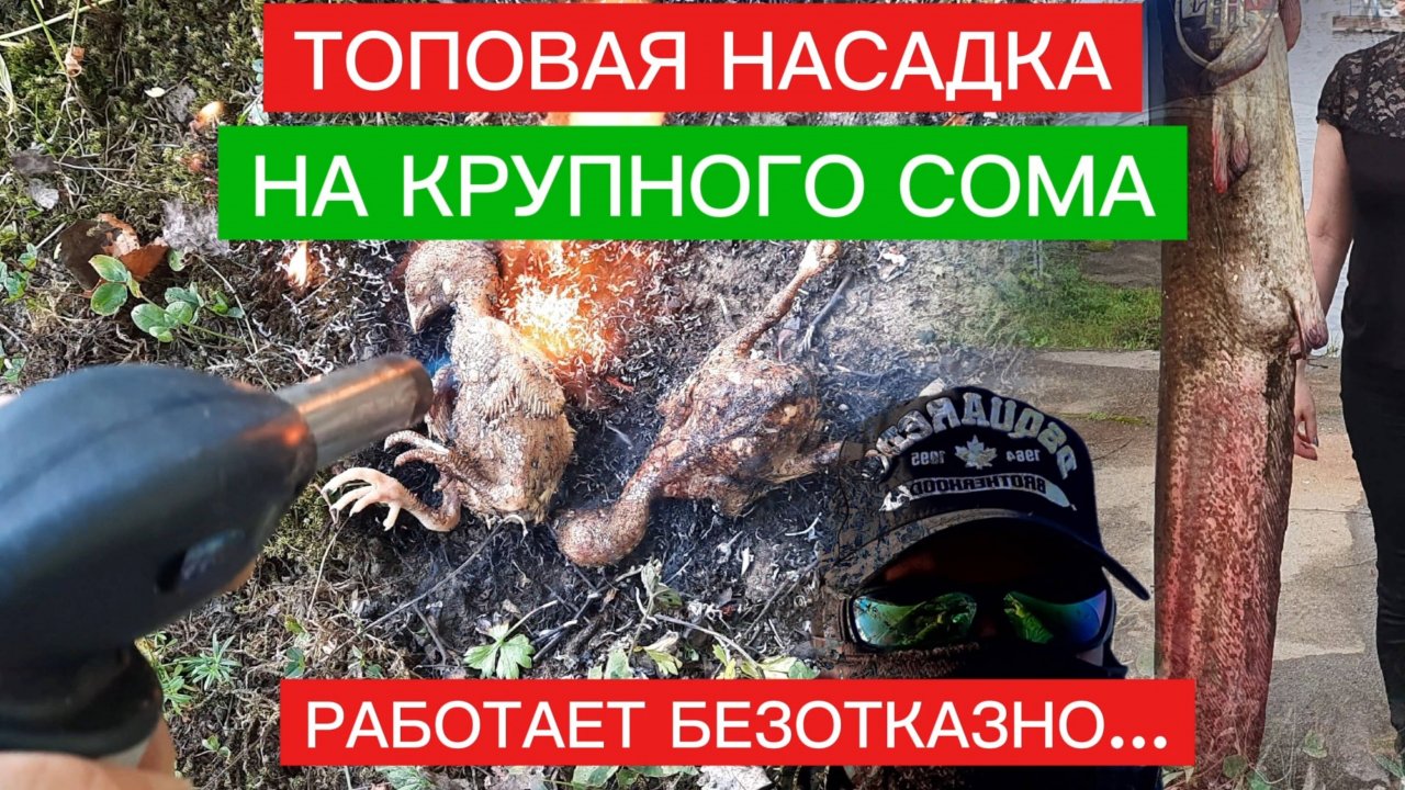 ТОПОВАЯ насадка для ловли СОМА! Работает безупречно. Ловля сома.