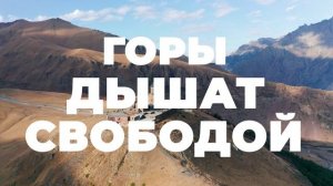 🎁 ПРОМО-АКЦИЯ UNIFORCE | Выиграй поездку в Грузию на МБС! 🌄🔥