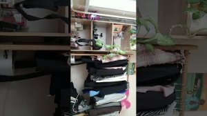 как я живу)))