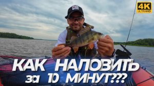 Вокруг лодки ТЫСЯЧИ ГОЛОДНЫХ РЫБ - Я В ШОКЕ. Какие НАБЛЮДЕНИЯ я сделал? ТАКАЯ РЫБАЛКА РАЗ В 5 ЛЕТ!