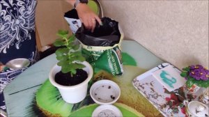 Завтрак без заморочек: Кукурузная каша, оладушки // Котлеты и пюре- просто объедение