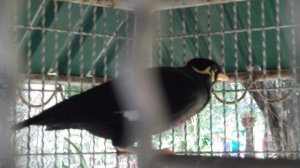 DSCF3130