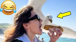 ПОДБОРКА ПРИКОЛОВ Я РЖАЛ ДО СЛЕЗ, ЛУЧШИЕ ПРИКОЛЫ 2025 СМЕШНЫЕ ВИДЕО, ДЕВУШКИ , ПОДБОРКА ПРИКОЛОВ