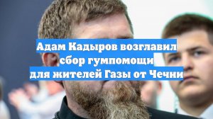 Адам Кадыров возглавил сбор гумпомощи для жителей Газы от Чечни