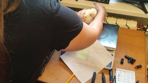 Вес бройлеров 21 сутки