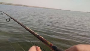 Пробный монтаж на толстолобика.