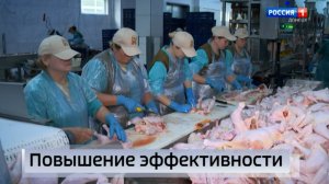 Сельское хозяйство Республики постепенно развивается даже в условиях постоянных обстрелов