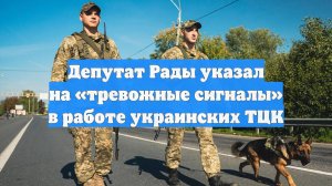 Депутат Рады указал на «тревожные сигналы» в работе украинских ТЦК