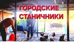 675 Городские Станичники. Пререехи. Жизнь на юге. Всё делаем вместе.