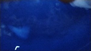 МИР ЮРСКОГО ПЕРИОДА И ОКЕАН ПРИКЛЮЧЕНИЙ 2 ЧАСТЬ