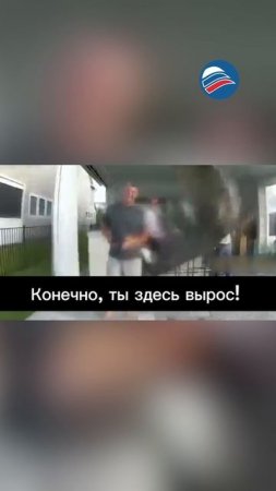Полицейский в США голыми руками затащил аллигатора в машину