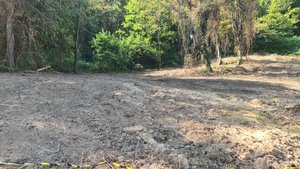 Земельный участок в Сочи ул.Бытха ИЖС 10 соток под строительство