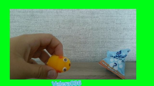 Обзор собачек из Красное Белое!!!