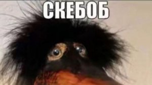 Гулянка(ЗАХОДИТЕ ИНТЕРЕСНО)