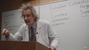 Г. Гантрип "Шизоидные явления, объектные отношения и самость" Краткий пересказ 31-60 стр.