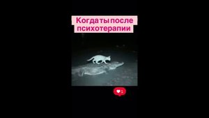 После психотерапии