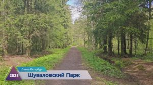 Шуваловский парк.