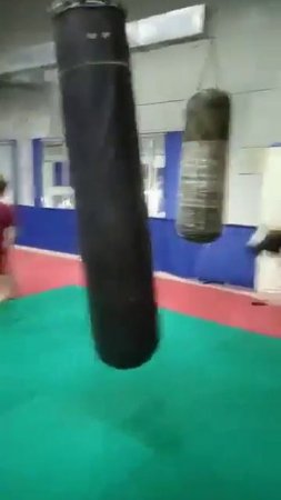 Отзыв ТРЕНЕРА АРБ Николая Галкина о ТРЕНАЖЁРЕ ПАНЧЕРА. Смотри #  boxing-club.ru #