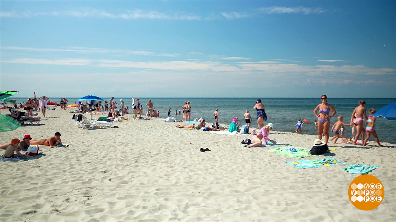 Идеальный пляж - это какой? Доброе утро. Фрагмент выпуска от 05.08.2025