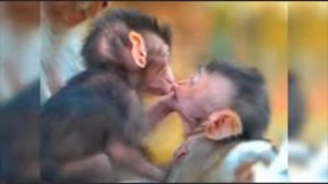 На прогулке в парке. Макашата...  1000026991.mp4