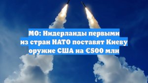 МО: Нидерланды первыми из стран НАТО поставят Киеву оружие США на €500 млн