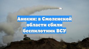 Анохин: в Смоленской области сбили беспилотник ВСУ