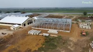 Современная ферма КРС: система навозоудаления, робот и содержание КРС