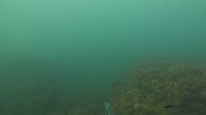 Выбор трудное дело )