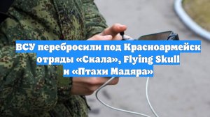 ВСУ перебросили под Красноармейск отряды «Скала», Flying Skull и «Птахи Мадяра»