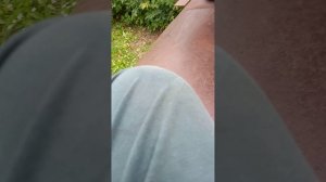 страшная болочка 666