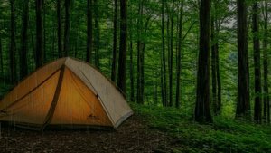 Шум дождя для сна. Дождь. Дождь стучит по палатке на опушке леса