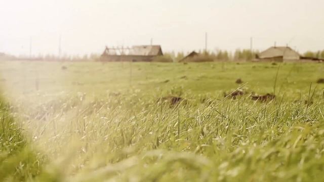 Каникулы в деревне