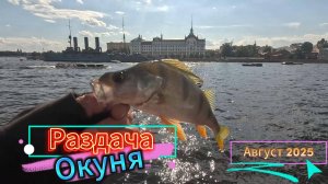 АВГУСТ ВЫХОД НА ОКУНЯ РЕКА НЕВА КАНАЛЫ СПБ ДРОПШОТ ФОНТАНКА ЗАЯЧИЙ ОСТРОВ АВРОРА