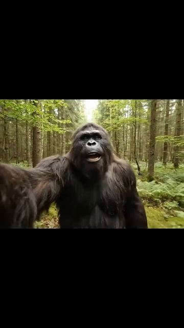 Влог снежного человека 11. Встретился с Лешим. #снежныйчеловек #влог #йети #леший #бигфут смотреть онлайн