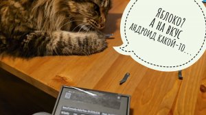 Новый телефон для макания в воду! Ёжики едят жевалки на брудершафт