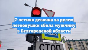 7-летняя девочка за рулем легковушки сбила мужчину в Белгородской области
