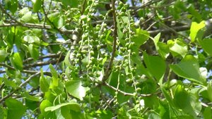 прохоровка сейчас центр прохоровка